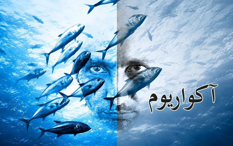 آکواریوم